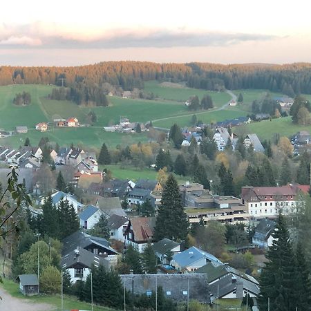 2 Zimmer Wohnung, Mit Sonnenterasse Schoenwald im Schwarzwald Exterior photo