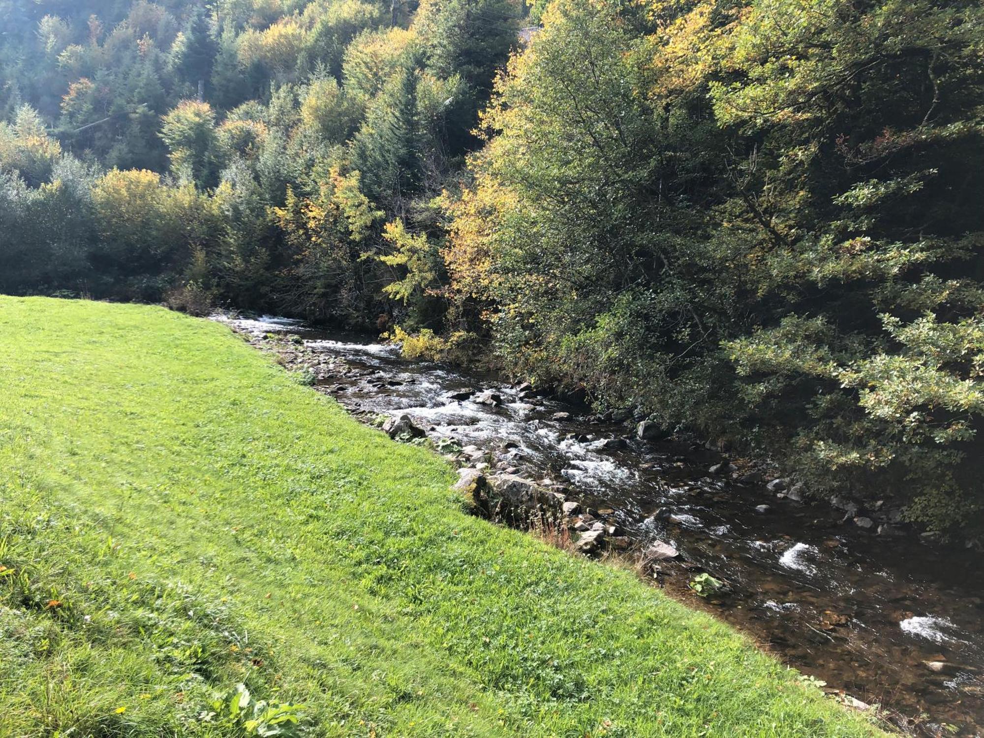 2 Zimmer Wohnung, Mit Sonnenterasse Schoenwald im Schwarzwald Exterior photo